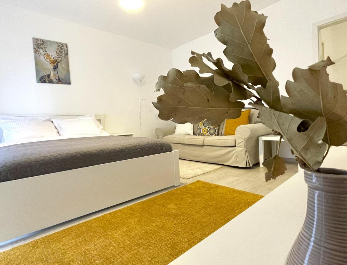 Bartolomeu Serenity Studio Braşov Extérieur photo